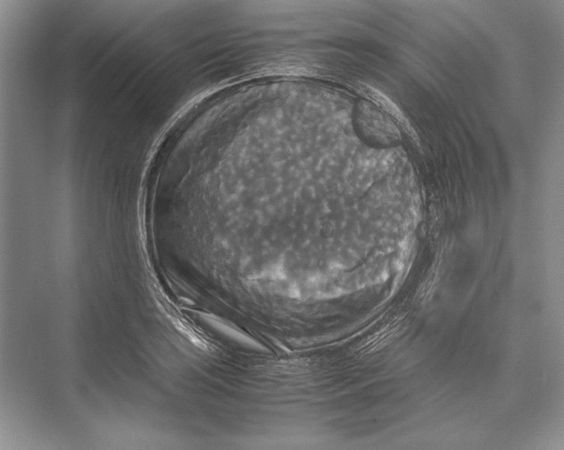 X0000072521035200608111715