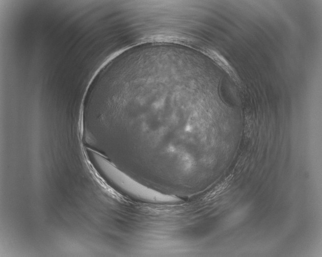 X0000072521036200608111715