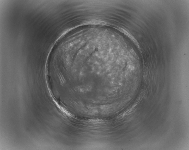 X0000072521037200608111715