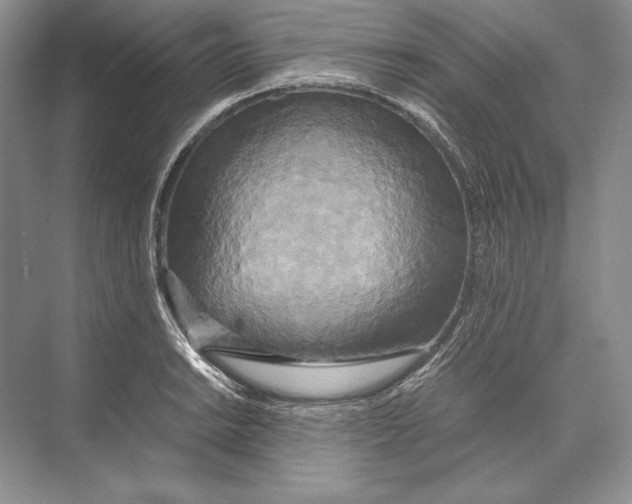 X0000072521038200608111715