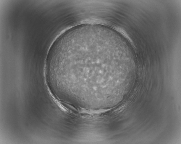 X0000072521040200608111715