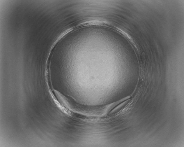 X0000072521042200608111715