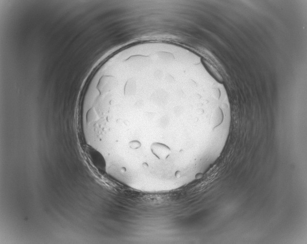 X0000072521044200608111715