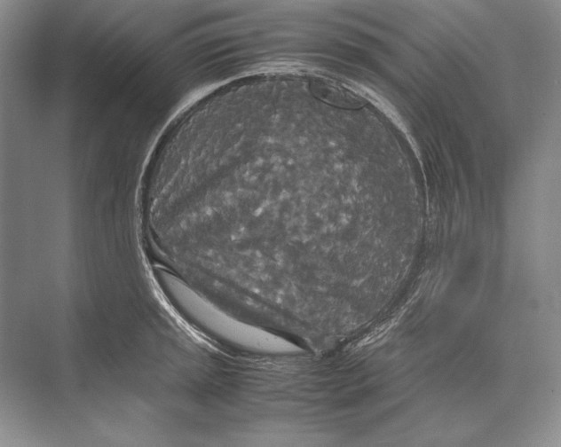 X0000072521045200608111715