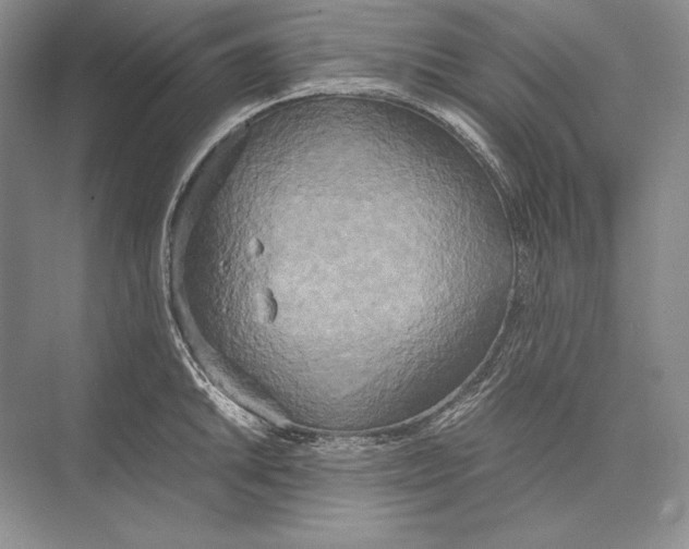 X0000072521046200608111715