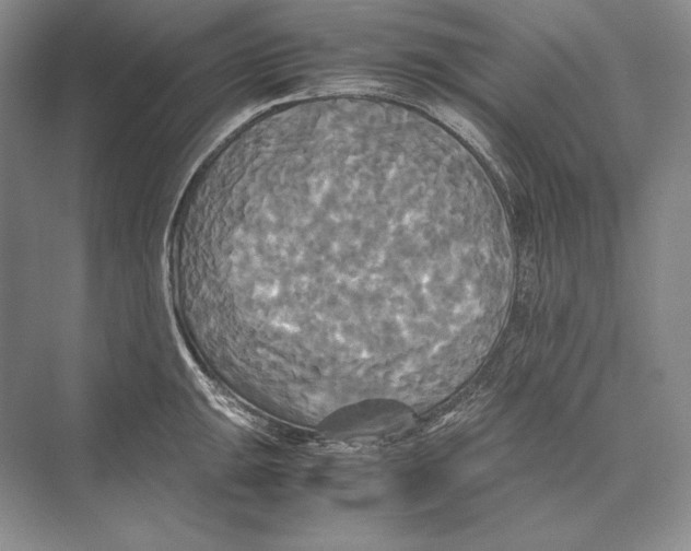 X0000072521047200608111715