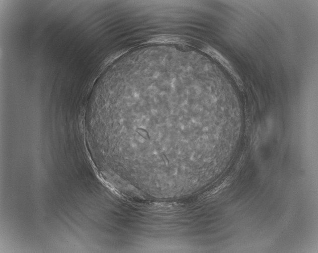 X0000072521049200608111715