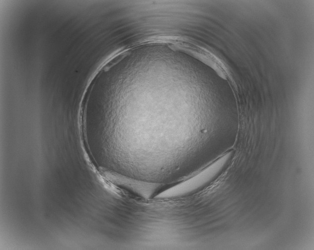 X0000072521050200608111715