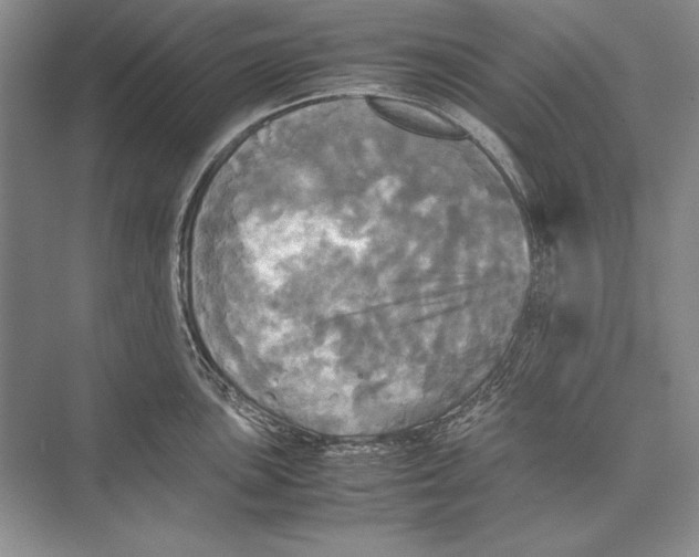 X0000072521051200608111715