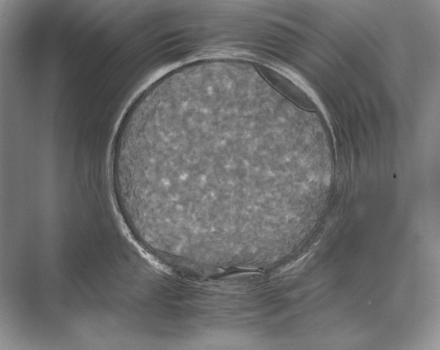 X0000072521053200608111715