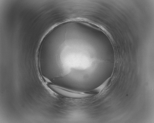 X0000072521054200608111715