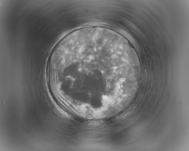 X0000072521055200608111715