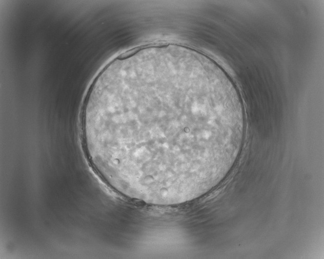 X0000072521056200608111715