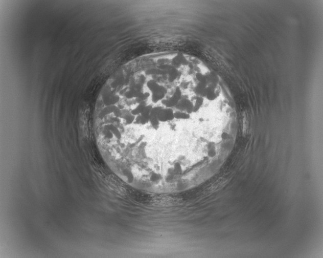 X0000072521059200608111714