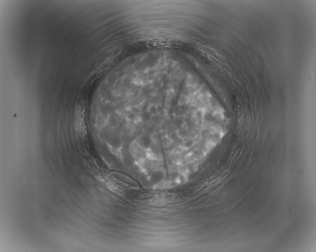 X0000072521060200608111714