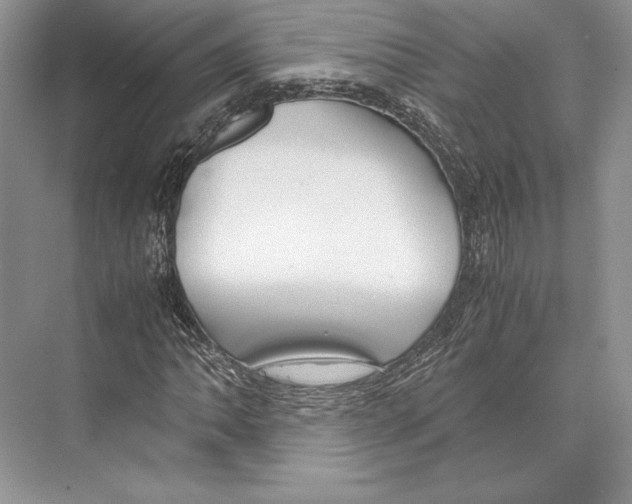 X0000072521062200608111714