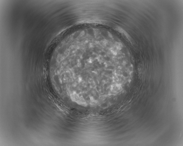 X0000072521064200608111714