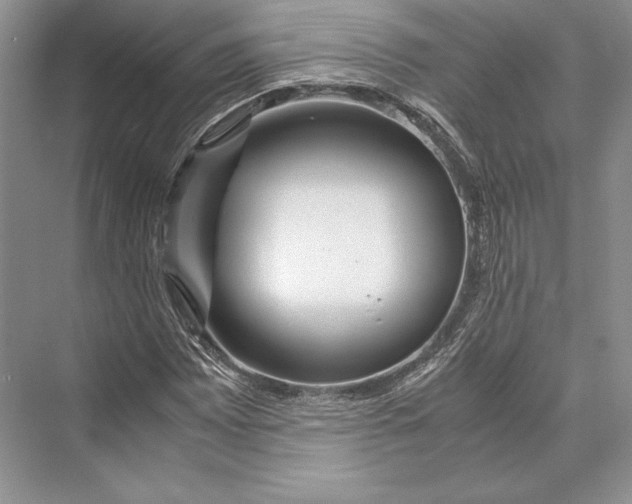 X0000072521065200608111714