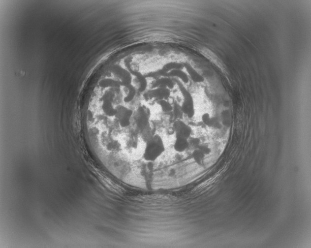 X0000072521067200608111714