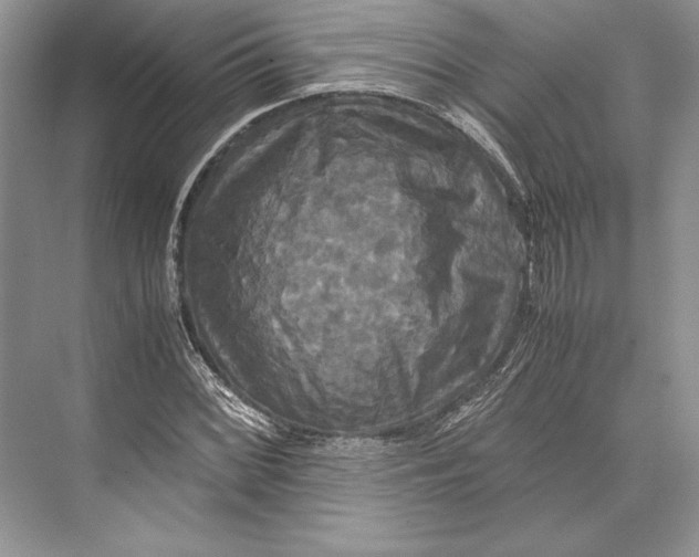 X0000072521068200608111714