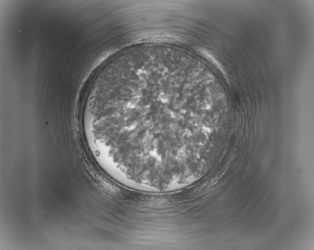 X0000072521071200608111714