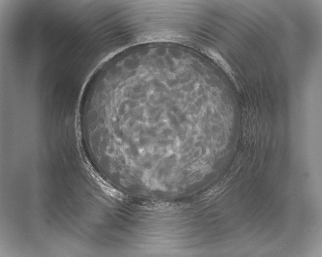 X0000072521072200608111714