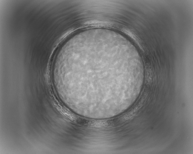 X0000072521074200608111714