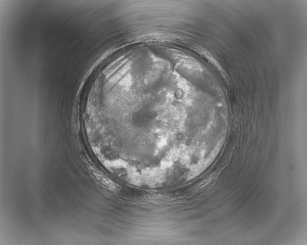 X0000072521075200608111714