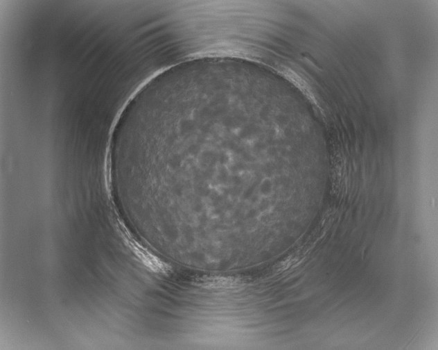 X0000072521076200608111714