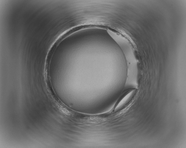 X0000072521077200608111714