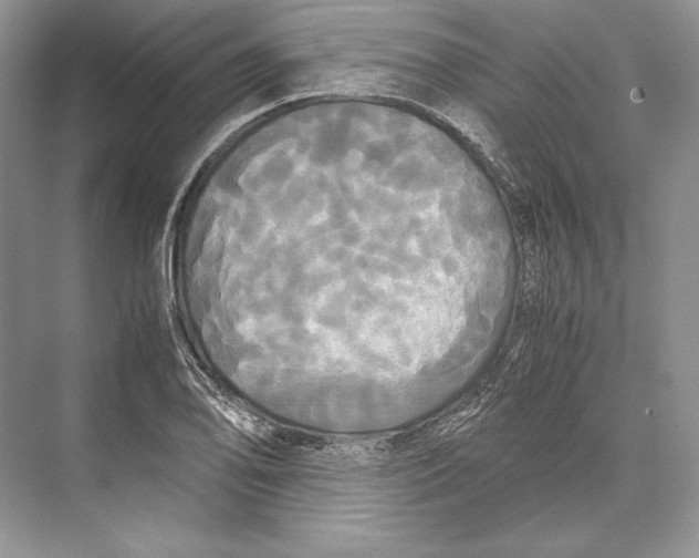 X0000072521078200608111714