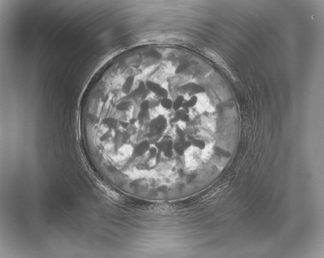 X0000072521079200608111714