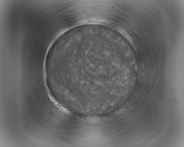 X0000072521080200608111714