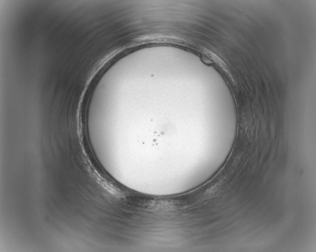 X0000072521082200608111714