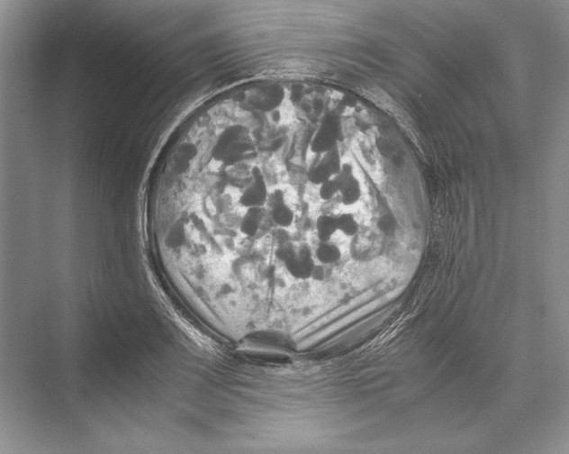 X0000072521083200608111714