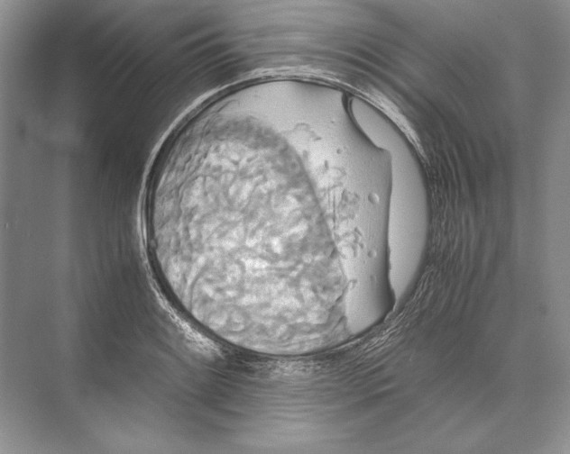 X0000072521084200608111714