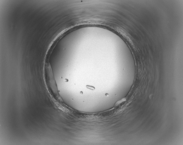 X0000072521085200608111714