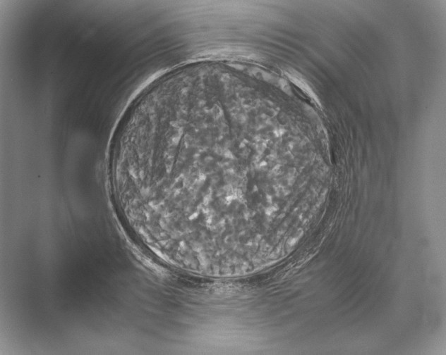 X0000072521087200608111714