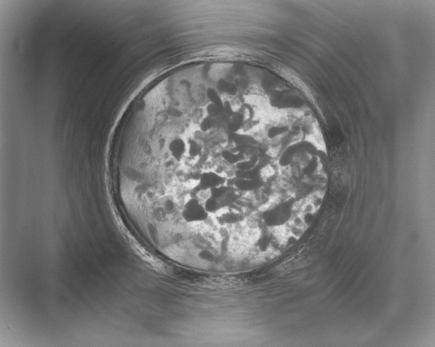 X0000072521091200608111714