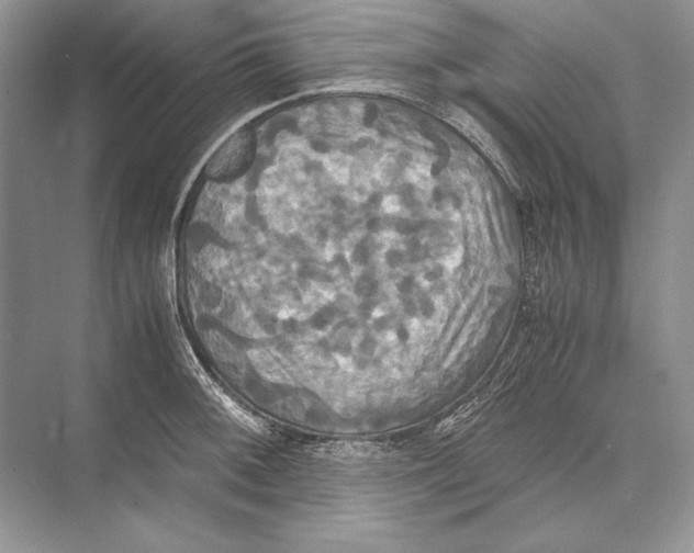 X0000072521092200608111714