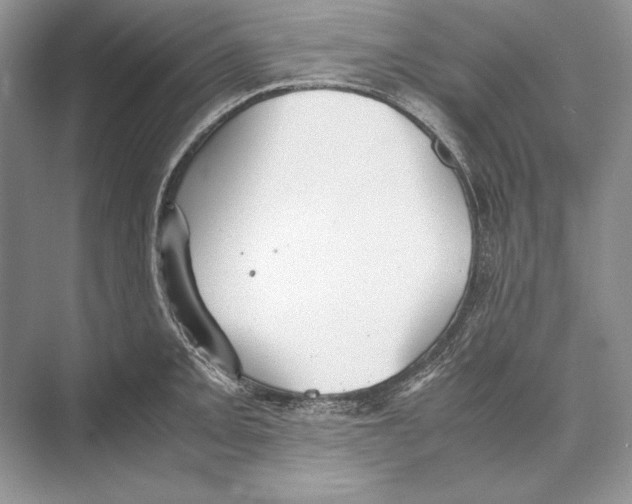 X0000072521093200608111714