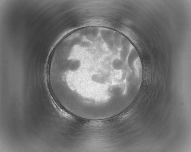 X0000072521094200608111714