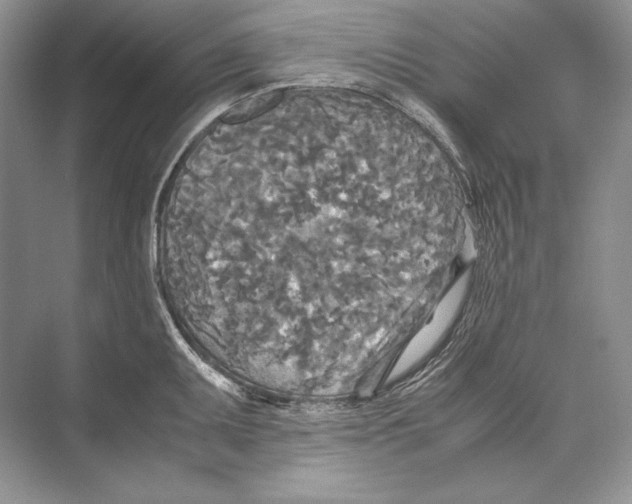 X0000072521095200608111714