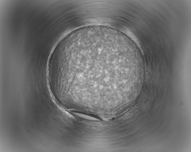 X0000072521096200608111714