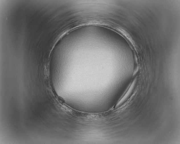 X0000072521097200608111714