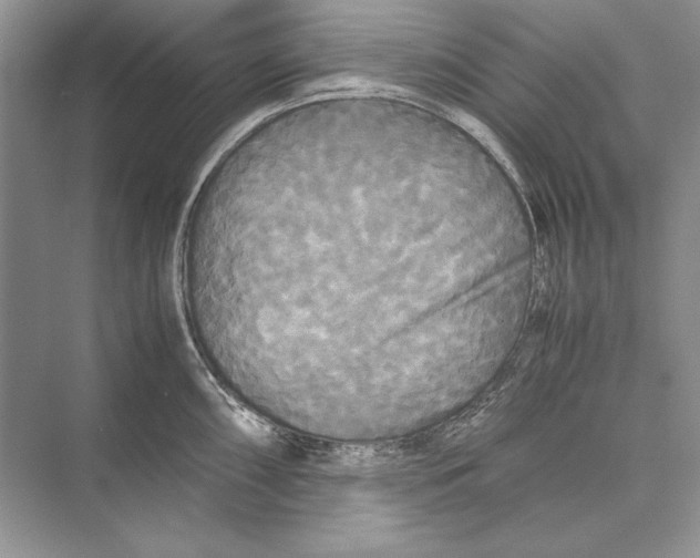 X0000072521098200608111714