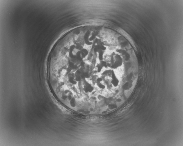 X0000072521099200608111714