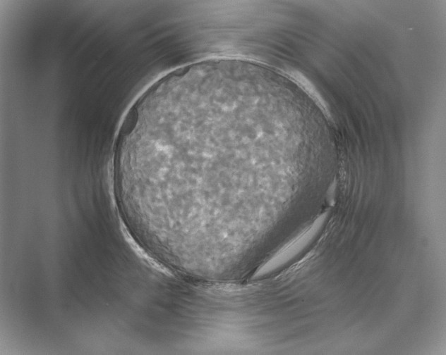 X0000072521100200608111713