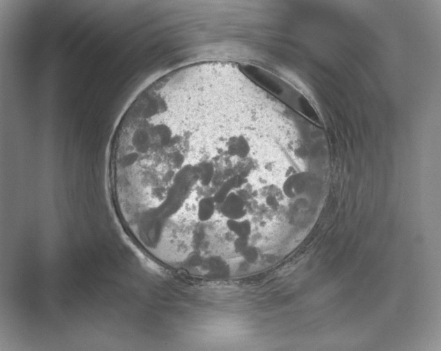 X0000072521103200608111713