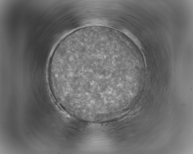 X0000072521104200608111713